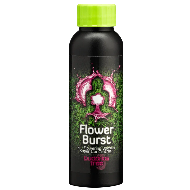 Buddha's Tree Flower Burst Buddha's Tree Flower Burst was made to ensure your plants' smooth transition from the growth