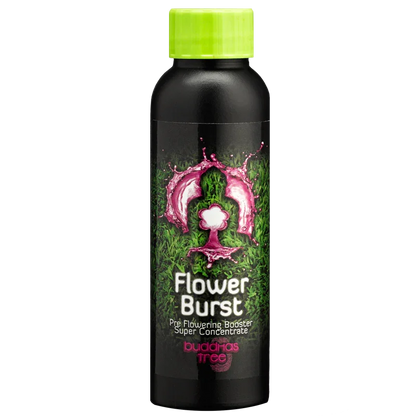Buddha's Tree Flower Burst Buddha's Tree Flower Burst was made to ensure your plants' smooth transition from the growth