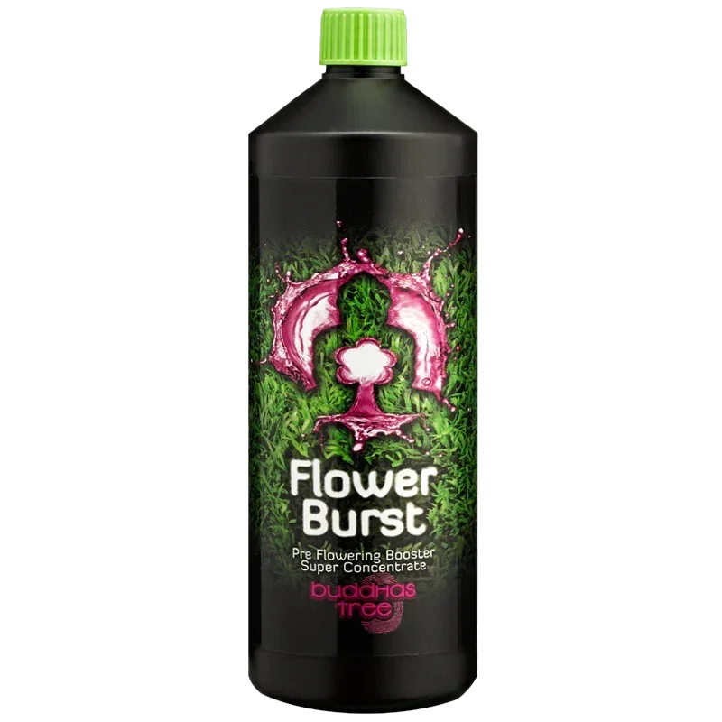 Buddha's Tree Flower Burst Buddha's Tree Flower Burst was made to ensure your plants' smooth transition from the growth