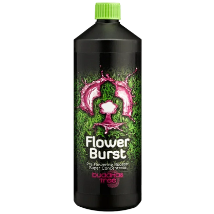 Buddha's Tree Flower Burst Buddha's Tree Flower Burst was made to ensure your plants' smooth transition from the growth