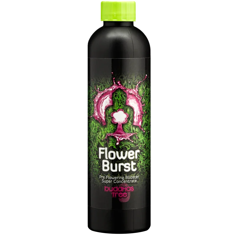 Buddha's Tree Flower Burst Buddha's Tree Flower Burst was made to ensure your plants' smooth transition from the growth