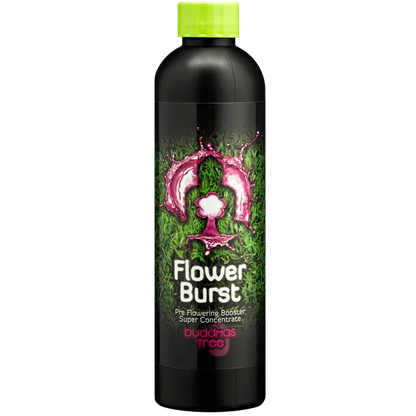 Buddha's Tree Flower Burst Buddha's Tree Flower Burst was made to ensure your plants' smooth transition from the growth