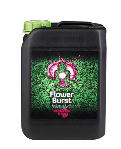 Buddha's Tree Flower Burst Buddha's Tree Flower Burst was made to ensure your plants' smooth transition from the growth