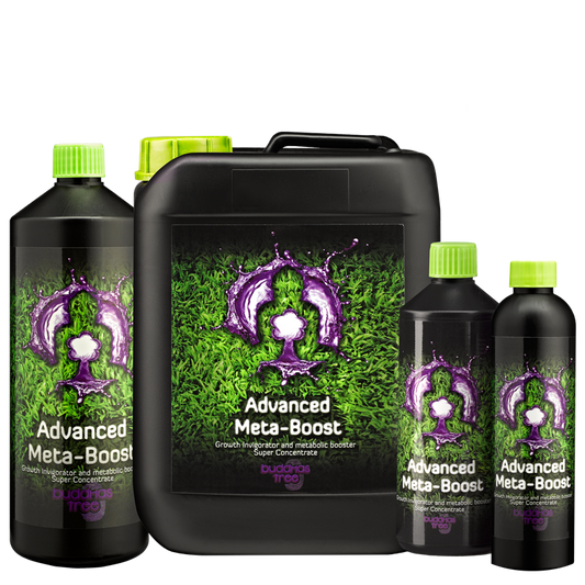 Group picture of the full range of Buddhas Tree Advanced Meta-Boost 