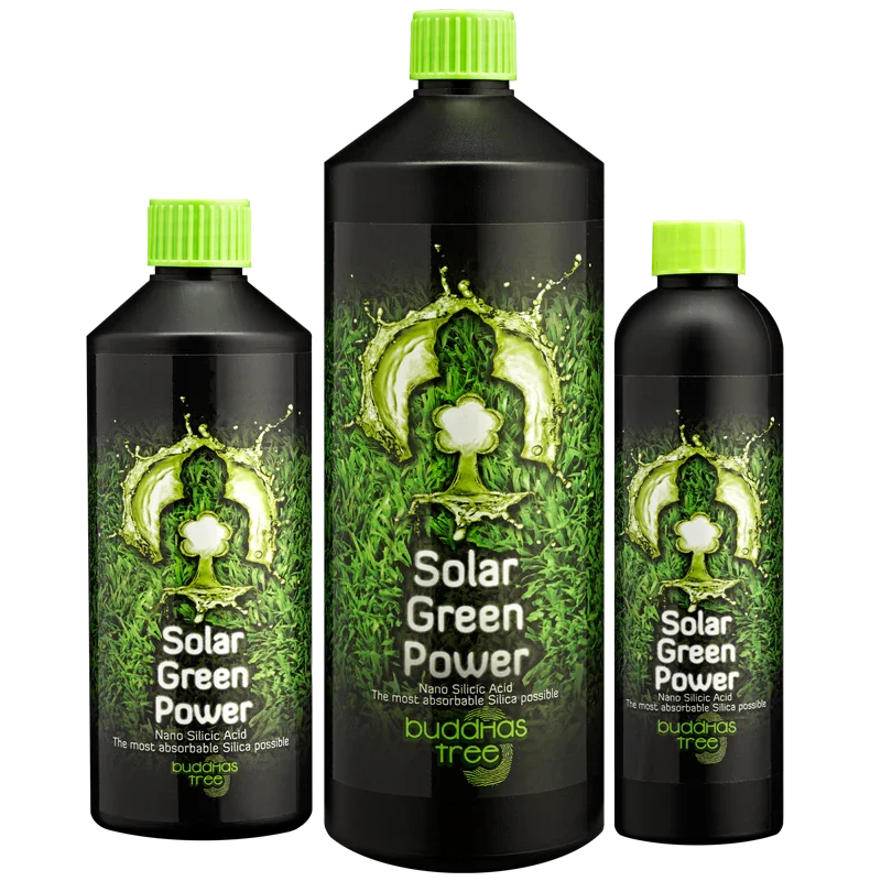 Buddha's Tree Solar Green Power Buddha's Tree Solar Green Power is a strong additive, which you can use during the