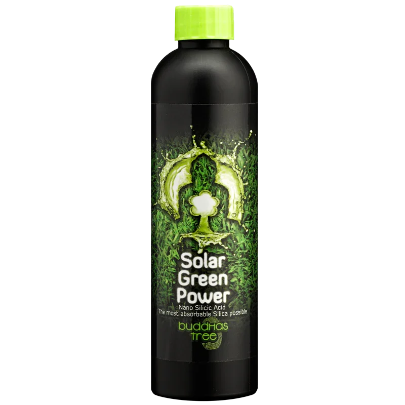Buddha's Tree Solar Green Power Buddha's Tree Solar Green Power is a strong additive, which you can use during the