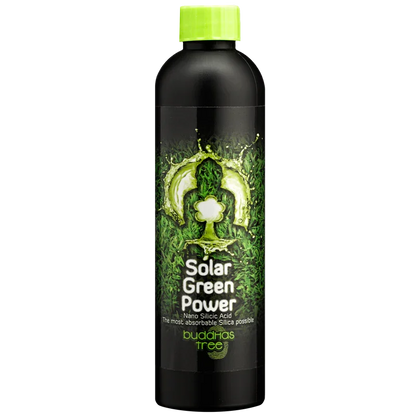 Buddha's Tree Solar Green Power Buddha's Tree Solar Green Power is a strong additive, which you can use during the
