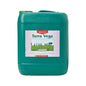 CANNA Terra Vega is a top-quality base nutrient, made for the vegetative stage. The product is made for growing in soil. The