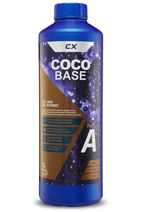Coco Base A & B