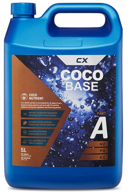 Coco Base A & B