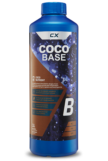 Coco Base A & B
