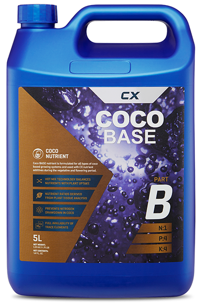 Coco Base A & B