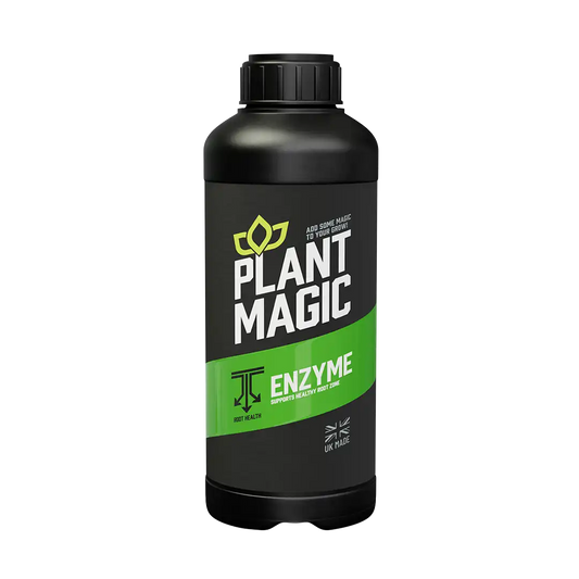 Enzimë Magjike Bimore