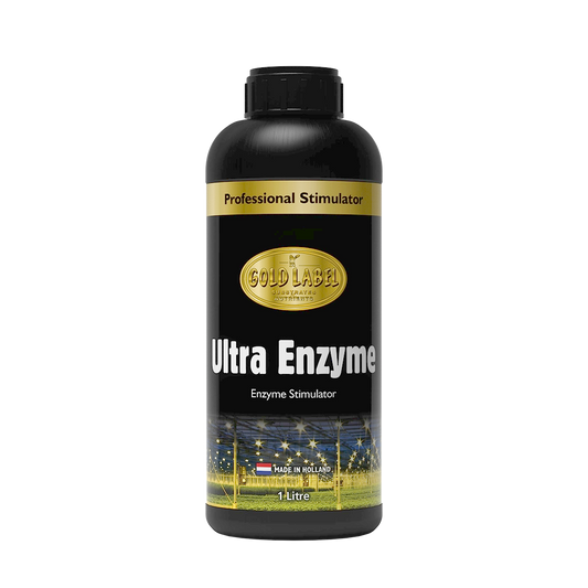 Gold Label: Ultra Enzyme