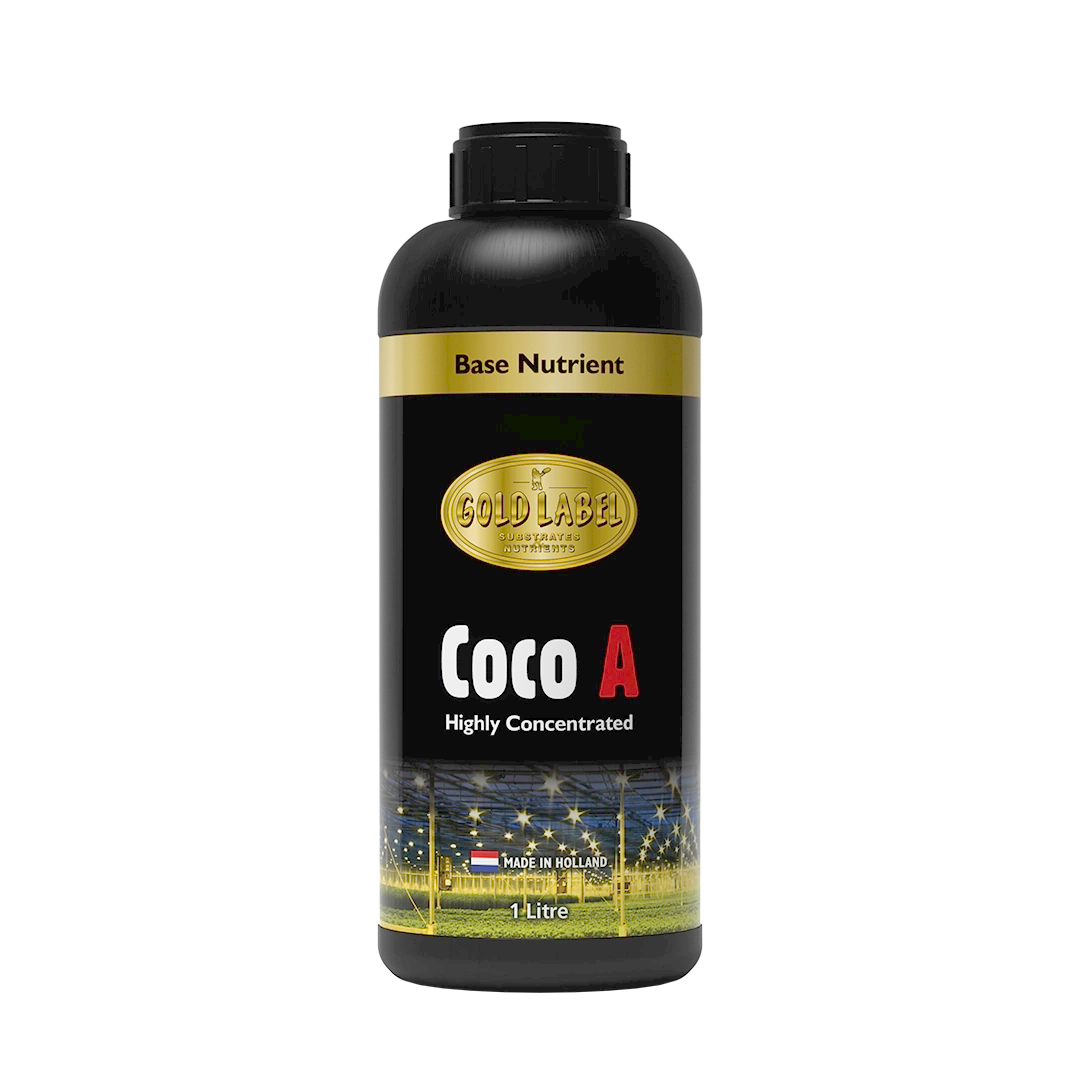 Gold Label: Coco A&B