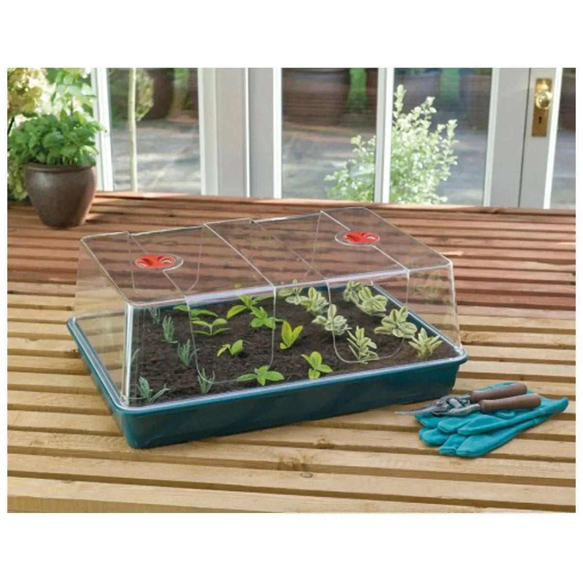Garland Propagator Box These high dome propagators will help you to achieve the correct moderate temperature and high
