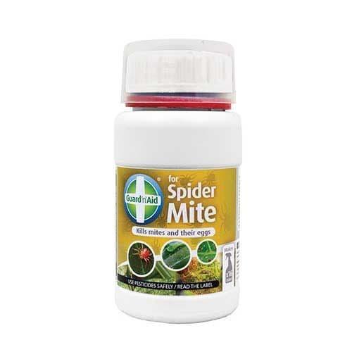 Wipe out spider mites – grab a bottle of Guard ‘n’ Aid Spider Mite. It’s the easy way to destroy spider mites + eggs - both
