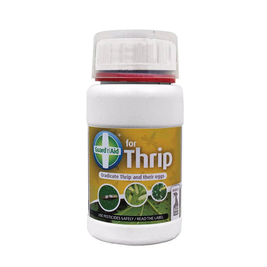 Kill Thrips (adults, eggs & larvae) with Guard 'n' Aid Thrips. It's Pyrethrum based so is safe on edible pants. It works