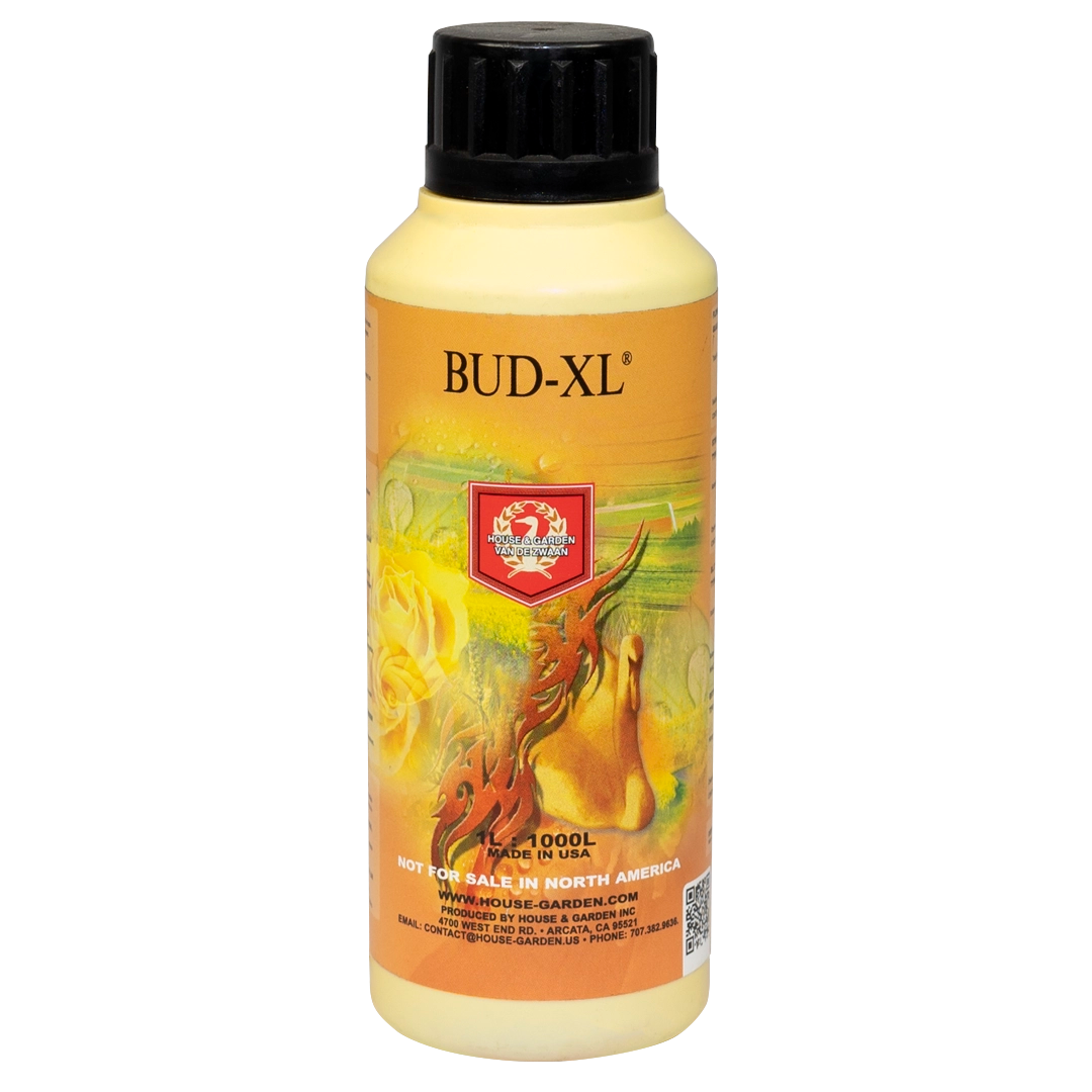 House & Garden:  Bud XL