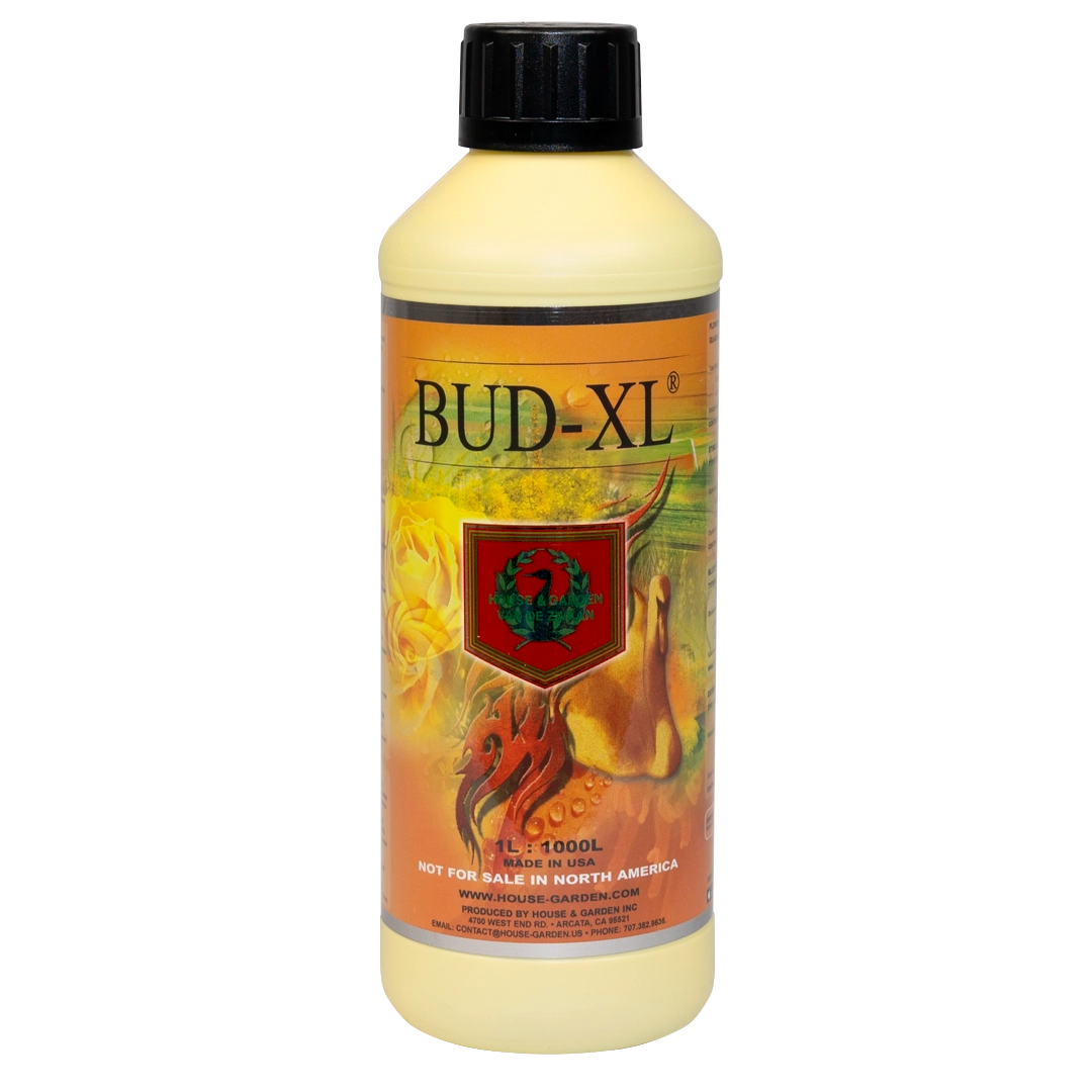 House & Garden:  Bud XL