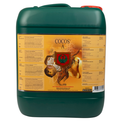 House & Garden: Cocos A&B