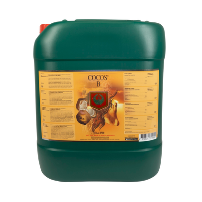 House & Garden: Cocos A&B