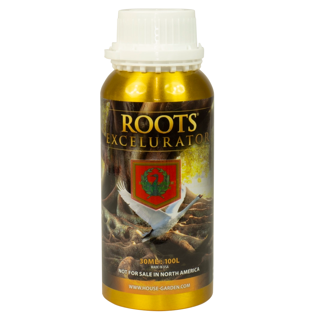 House & Garden: Roots Excelurator Gold