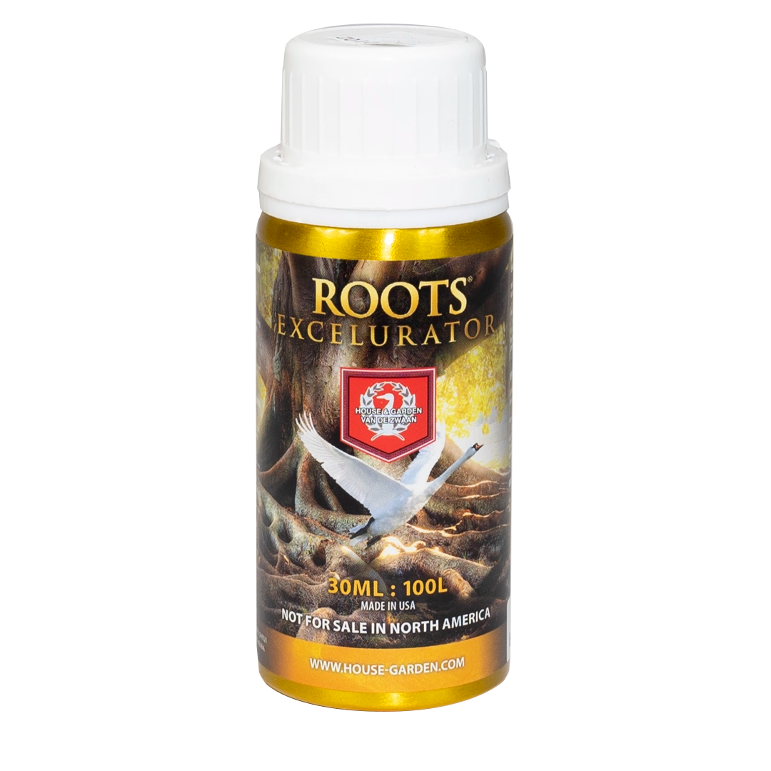 House & Garden: Roots Excelurator Gold