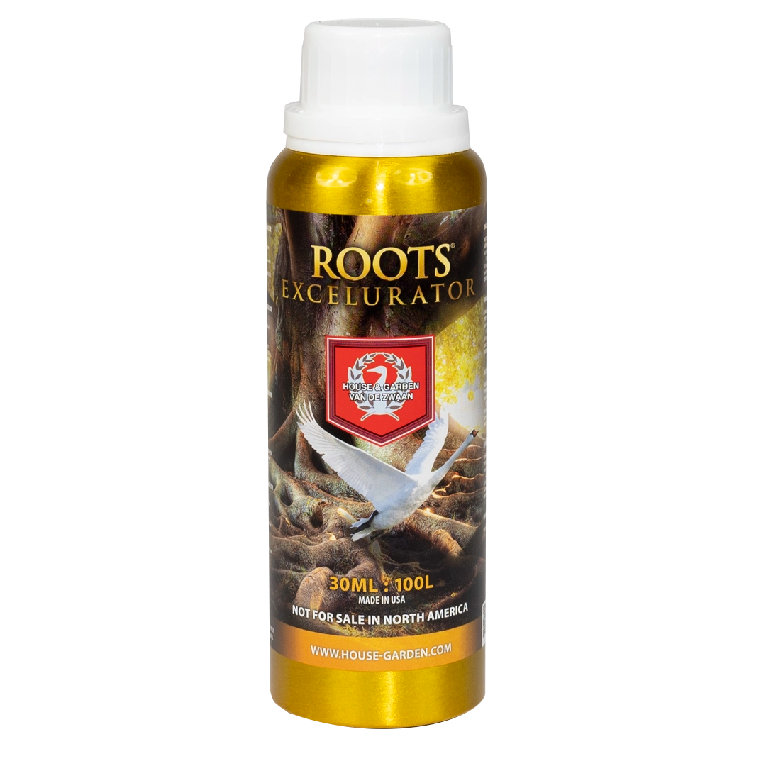 House & Garden: Roots Excelurator Gold