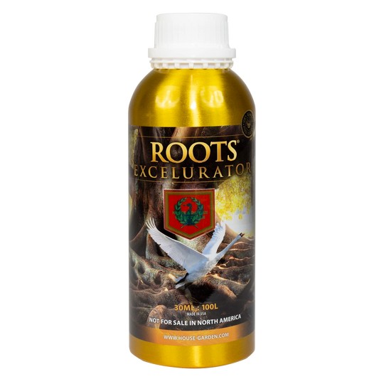 House & Garden: Roots Excelurator Gold