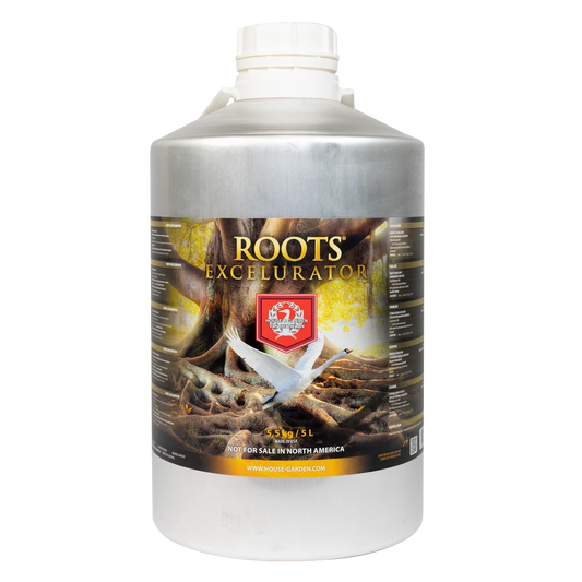 House & Garden: Roots Excelurator Gold