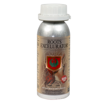 House & Garden: Roots Excelurator Silver