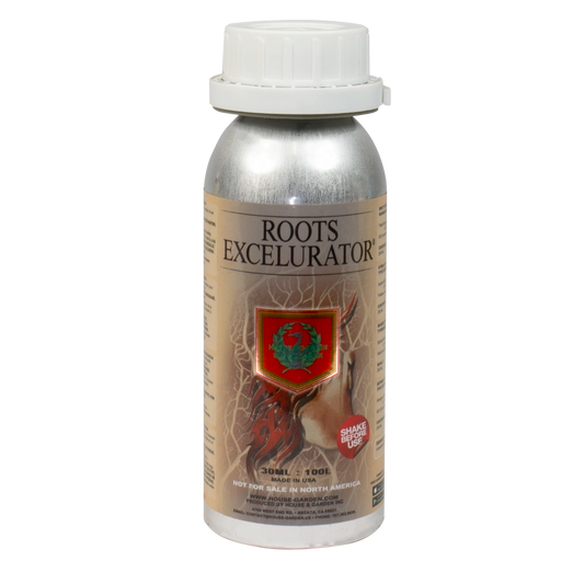 House & Garden: Roots Excelurator Silver