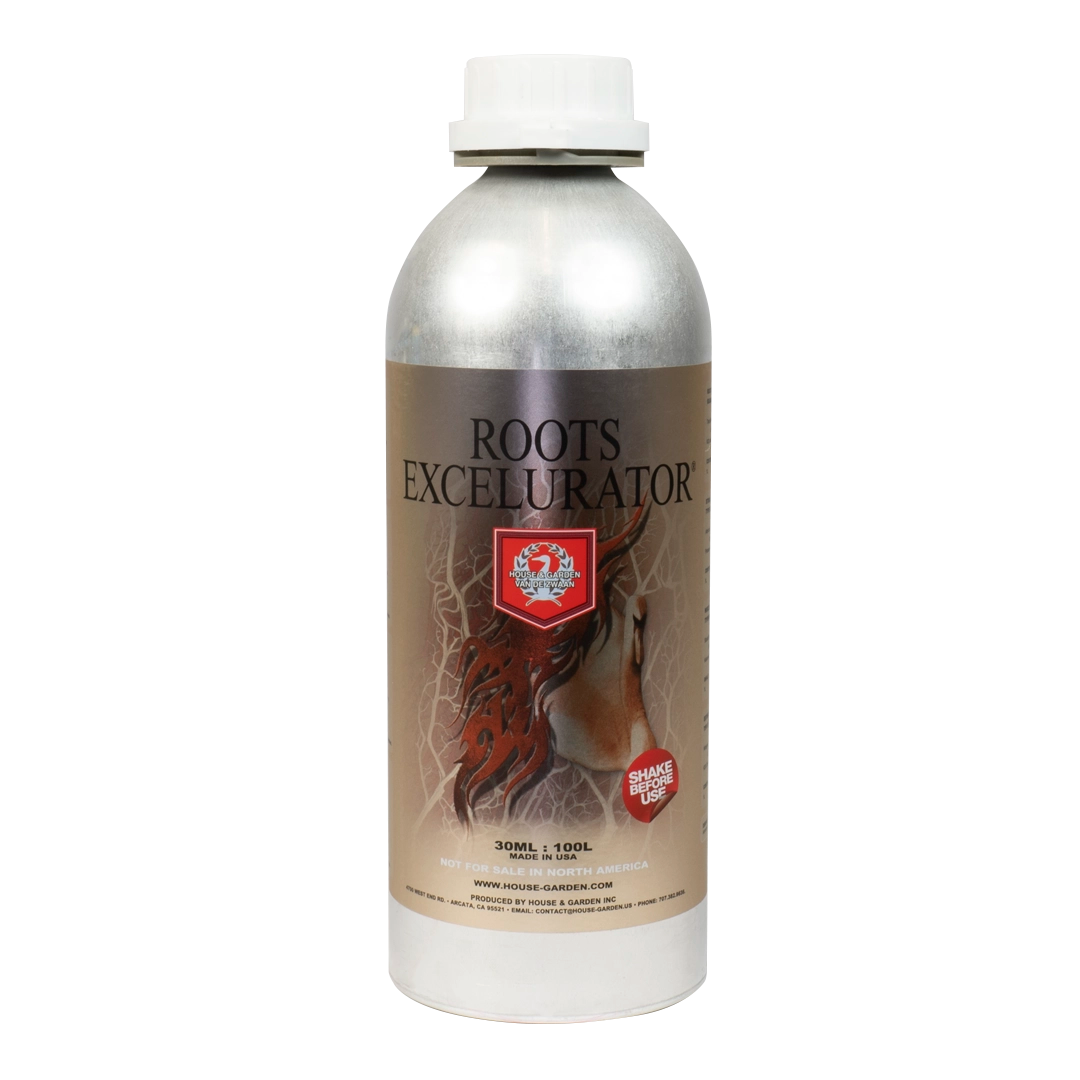 House & Garden: Roots Excelurator Silver