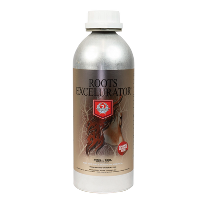 House & Garden: Roots Excelurator Silver