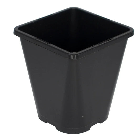 Plastic Pots - Square Top - Round Bottom - 1L - DiscountHydro.com - 0.39 - ErithHorticulture, Pots & Trays > Plant Pots and Pouches