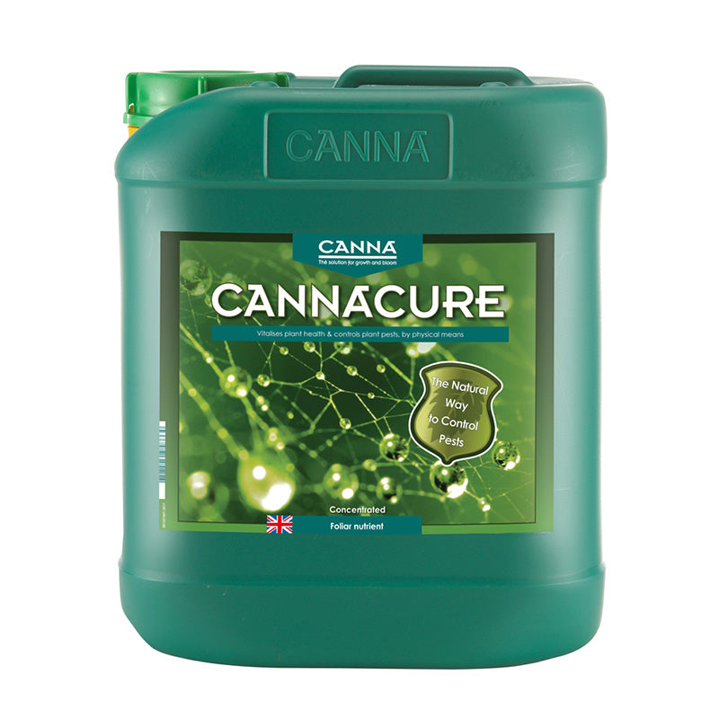 Green container of Canna Cannacure on a white background