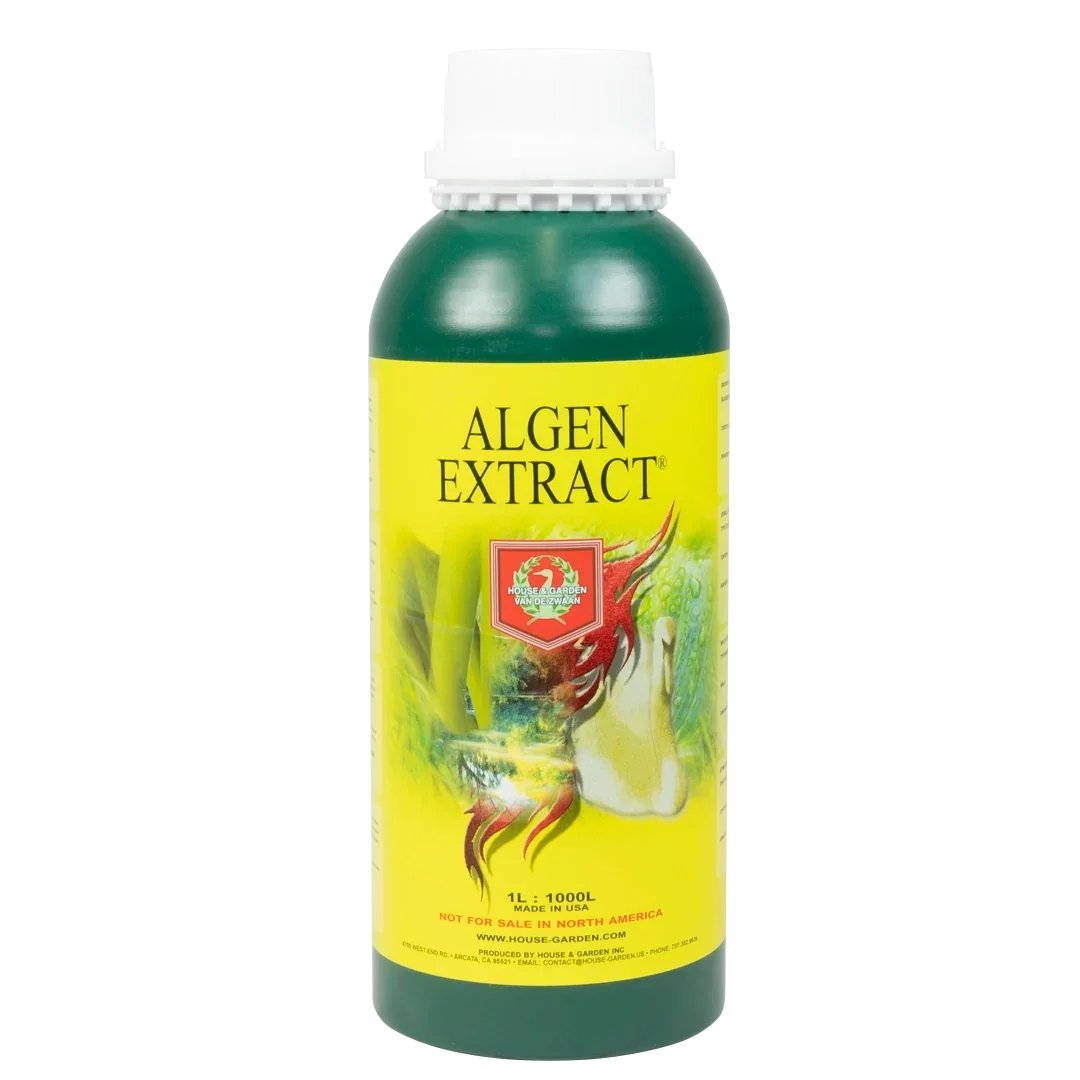 House & Garden: Algen Extract The power of cold-pressed Norwegian sea kelp Algen Extract is an important supplement to base