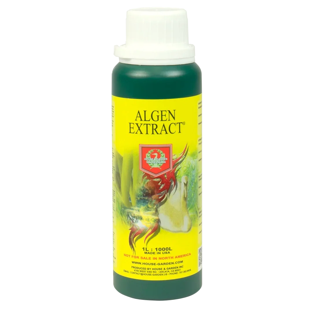 House & Garden: Algen Extract The power of cold-pressed Norwegian sea kelp Algen Extract is an important supplement to base