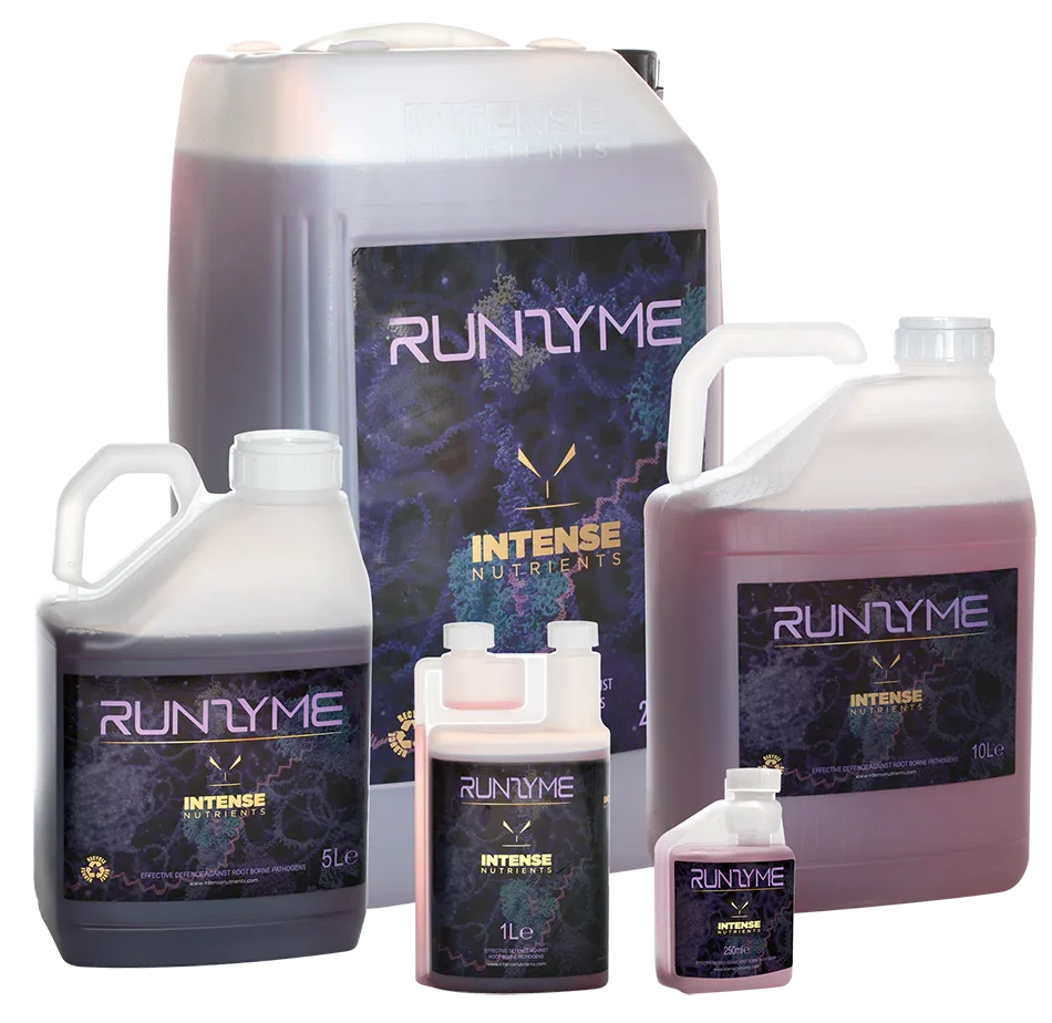 Recycles decaying organic debris within the plant root system. An effective defence against root-borne pathogens. Boost root