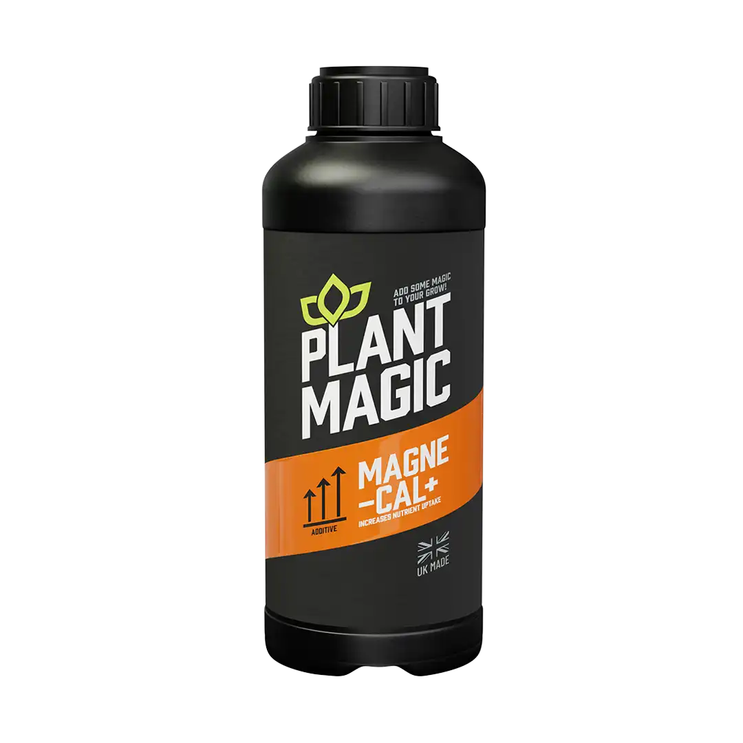 Magne Cal e Magjisë së Bimëve