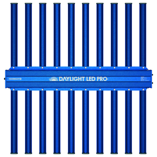 MaxiBright Daylight LED