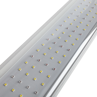 LED light panel with visible LEDs on a white background