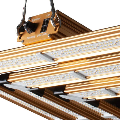 Omega Infinity 300W 2.7 Pro LED ​An efficient and effective growing LED with an awesome 2.7 μmols/j of efficacy. A great