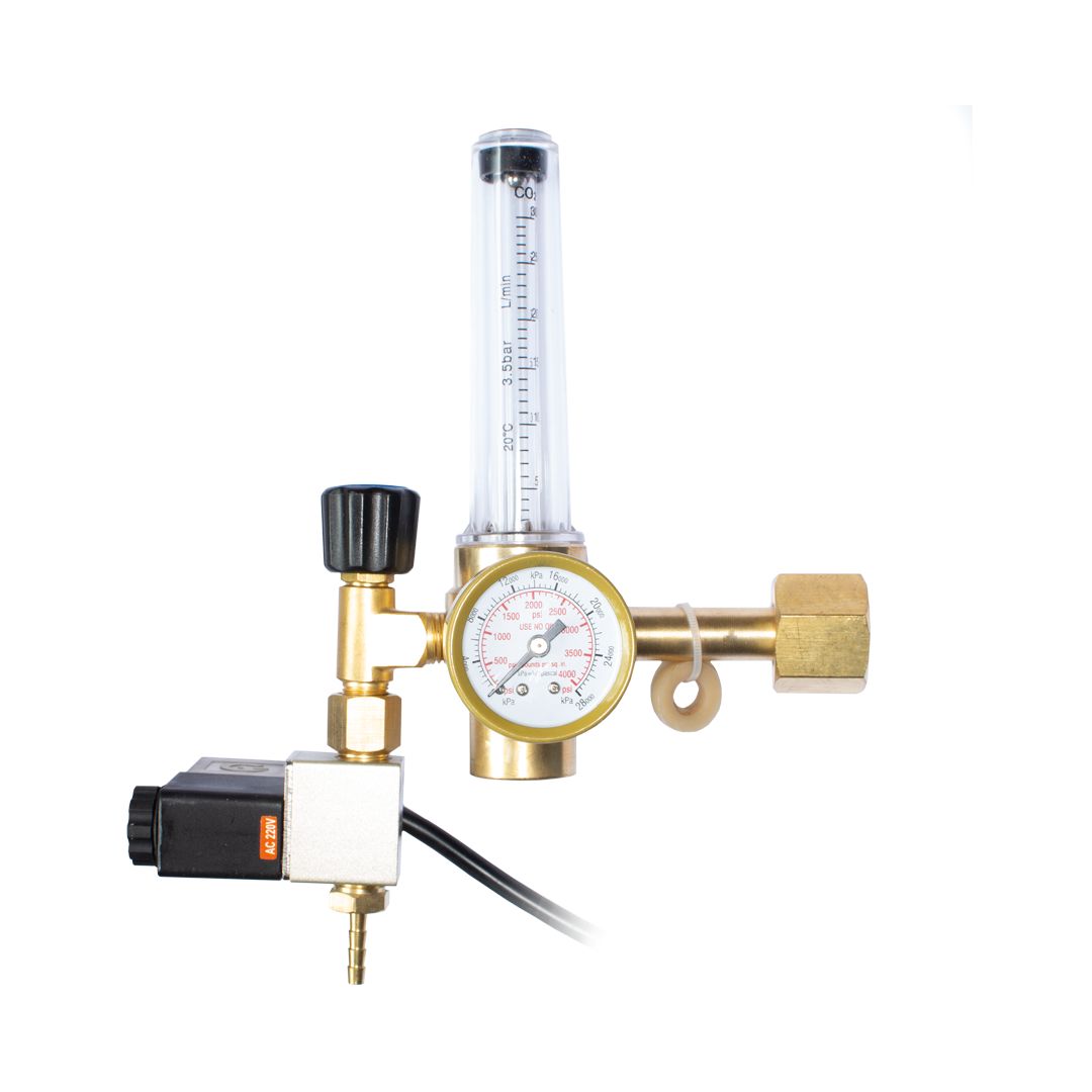 CO2 Regulator 