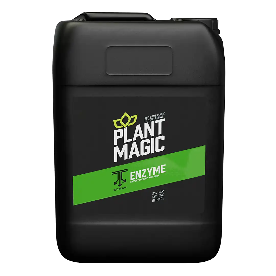 Plant Magic Enzyme