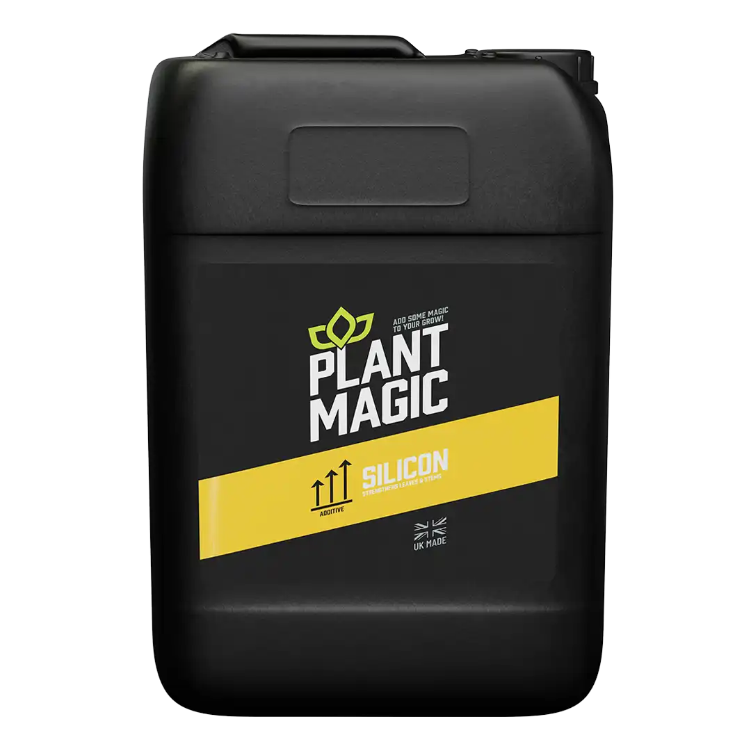 Plant Magic: Silicon