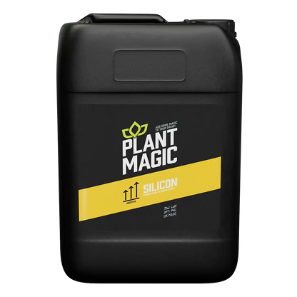 Plant Magic: Silicon