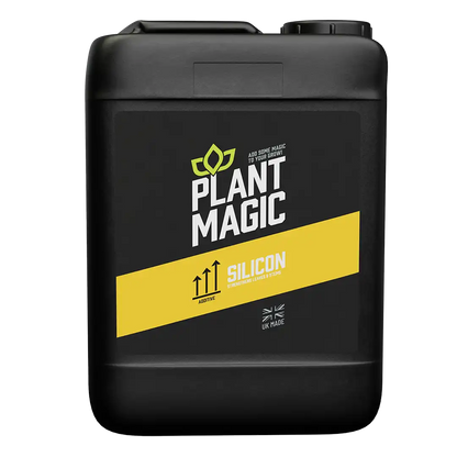 Plant Magic: Silicon