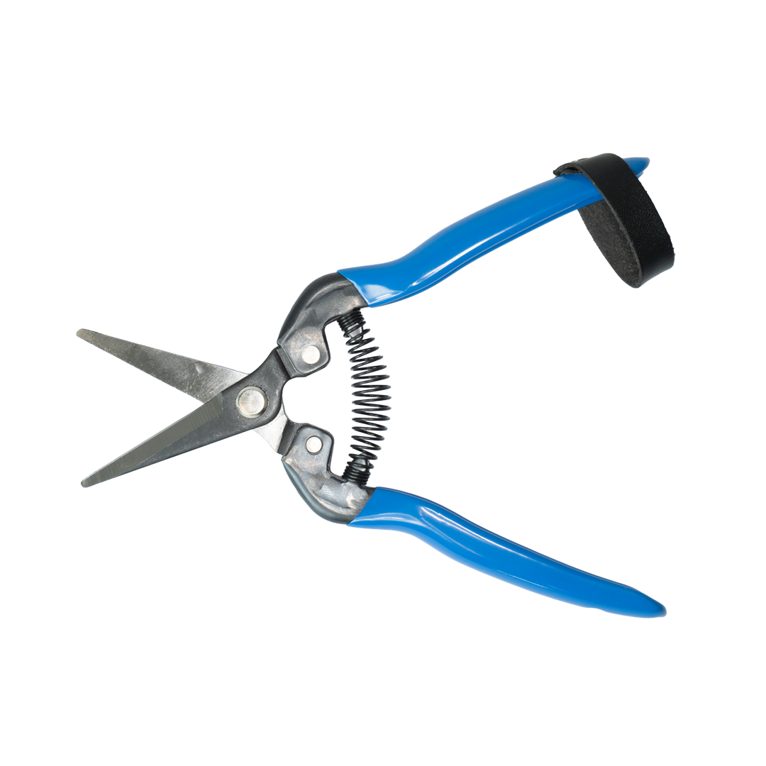 Schere Snips